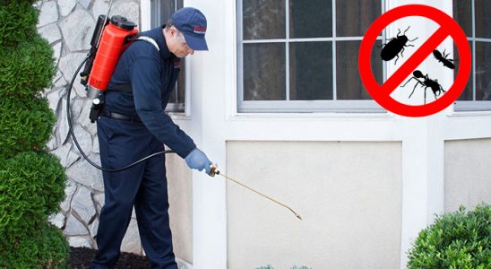 Yayladere Akrep İlaçlama böcek ilaçlama ve haşere kontrolü — ilaclama-tr.com